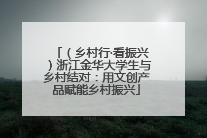 （乡村行·看振兴）浙江金华大学生与乡村结对：用文创产品赋能乡村振兴