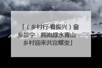 （乡村行·看振兴）畲乡景宁：拥抱绿水青山 乡村迎来共富蝶变