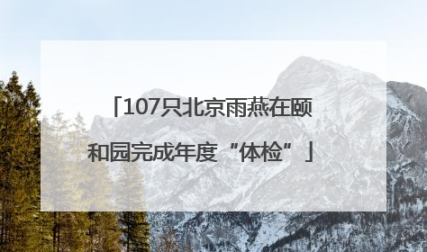 107只北京雨燕在颐和园完成年度“体检”
