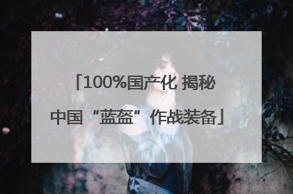 100%国产化 揭秘中国“蓝盔”作战装备