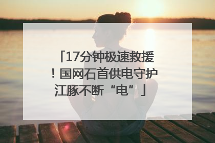 17分钟极速救援！国网石首供电守护江豚不断“电”