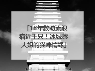18年救助流浪猫近千只！冰城蔡大姐的猫咪情缘