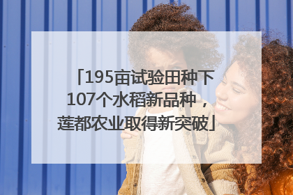 195亩试验田种下107个水稻新品种，莲都农业取得新突破