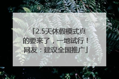 2.5天休假模式真的要来了，一地试行！网友：建议全国推广