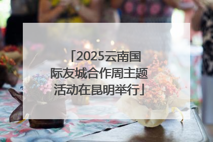 2025云南国际友城合作周主题活动在昆明举行