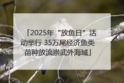 2025年“放鱼日”活动举行 35万尾经济鱼类苗种放流崇武外海域