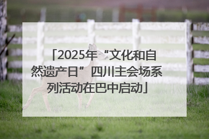 2025年“文化和自然遗产日”四川主会场系列活动在巴中启动