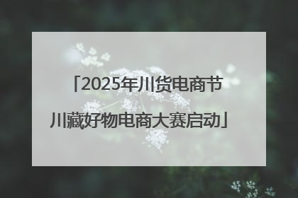 2025年川货电商节川藏好物电商大赛启动