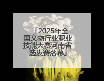 2025年全国文物行业职业技能大赛河南省选拔赛落幕