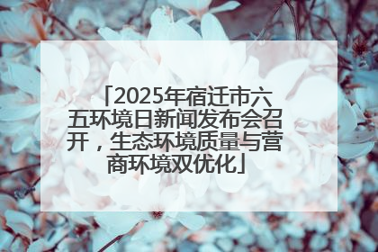 2025年宿迁市六五环境日新闻发布会召开，生态环境质量与营商环境双优化