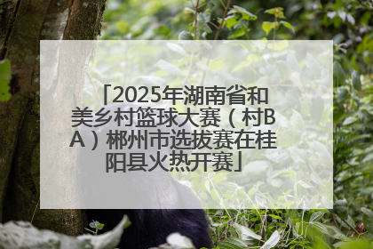 2025年湖南省和美乡村篮球大赛（村BA）郴州市选拔赛在桂阳县火热开赛