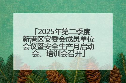 2025年第二季度新港区安委会成员单位会议暨安全生产月启动会、培训会召开