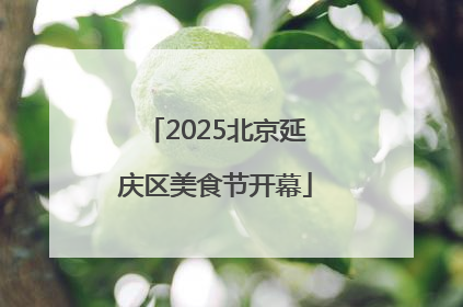 2025北京延庆区美食节开幕