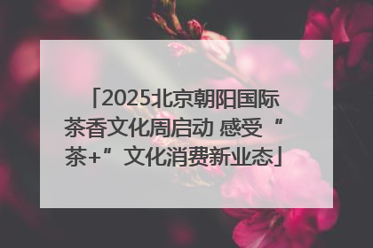 2025北京朝阳国际茶香文化周启动 感受“茶+”文化消费新业态