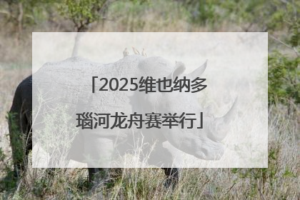 2025维也纳多瑙河龙舟赛举行