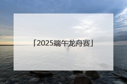 2025端午龙舟赛