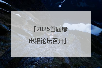 2025首届绿电铝论坛召开