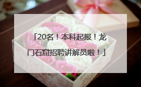 20名！本科起报！龙门石窟招聘讲解员啦！