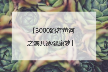 3000跑者黄河之滨共逐健康梦