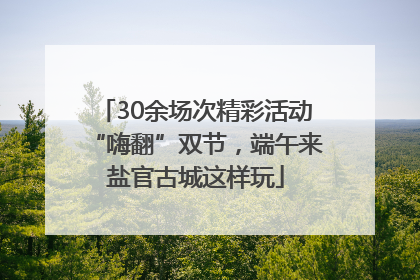 30余场次精彩活动“嗨翻”双节，端午来盐官古城这样玩