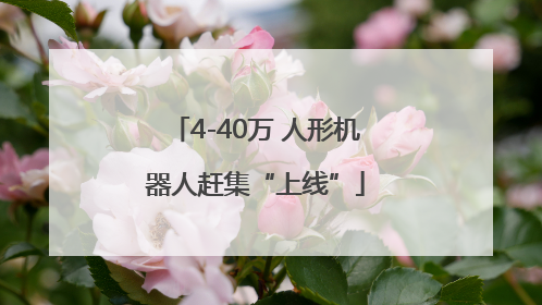 4-40万 人形机器人赶集“上线”