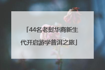 44名老挝华裔新生代开启游学普洱之旅