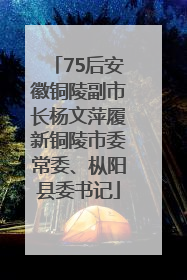 75后安徽铜陵副市长杨文萍履新铜陵市委常委、枞阳县委书记