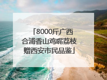 8000斤广西合浦香山鸡嘴荔枝赠西安市民品鉴