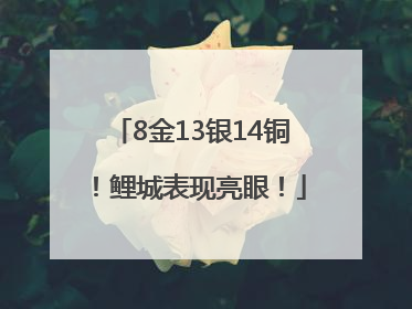 8金13银14铜！鲤城表现亮眼！