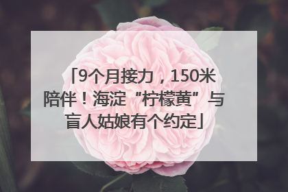 9个月接力，150米陪伴！海淀“柠檬黄”与盲人姑娘有个约定