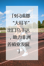 9只成都“大耳羊”出口乌干达，助力非洲养殖业发展