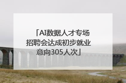 AI数据人才专场招聘会达成初步就业意向305人次