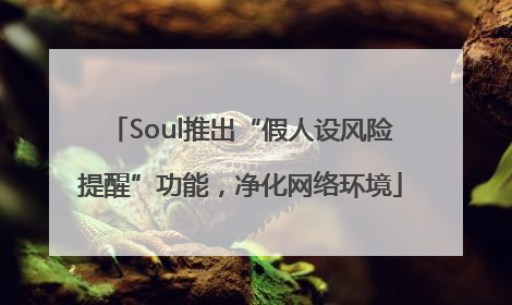 Soul推出“假人设风险提醒”功能，净化网络环境